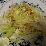 キャベツとレタス、大根の簡単サラダ